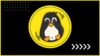 Linux Bash Shell Scripting Incl. AWK, SED and 10+ Projects