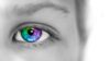 Adobe Lightroom For Absolute Beginners