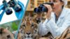 Applied Veterinary Ethology