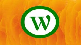 WordPress Course: From websites creation to Earning Online