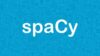 Natural Language Preprocessing Using spaCy