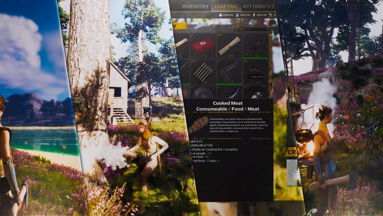 Unreal Engine 5 Survival Framework – Multiplayer Game Dev - Free Online ...