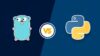 Only For Genius : Golang Vs Python For Absolute Beginners