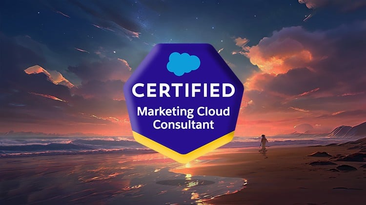 Salesforce Marketing Cloud Consultant Practice Tests - Free Online ...