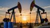 Petroleum Economics: Projects, Value, Risk and Strategy