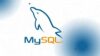 MySQL & Database Management: Create, Manage & Query Database