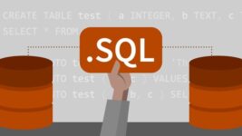 SQL практикум для начинающих и продолжающих (полный курс)