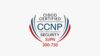 CCNP Security SVPN (300-730) Practice Tests 2026