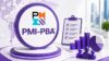 PMI Professional in Business Analysis PMI-PBA Practice Tests