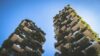 Principles of Sustainable Architecture & Green Buildings