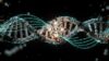 AI Genetic Algorithms – Practice Questions 2026