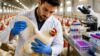 Poultry Diseases Masterclass: Diagnosis & Prevention