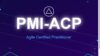 PMI-ACP Aprobado Garantizado: La guía definitiva para pasar