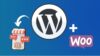 Build Profitable E-Commerce Stores with WordPress & Woostify