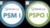 Practices Exams: Scrum Master & Product Owner (PSM1 & PSPO1)