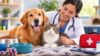 The Complete Dog & Cat Care Masterclass