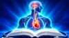 Medical Terminology 101: Learn Medical Words from Scratch