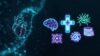 AI in Healthcare: The Complete Practitioner’s Playbook