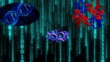 Innovating with Biomathematics